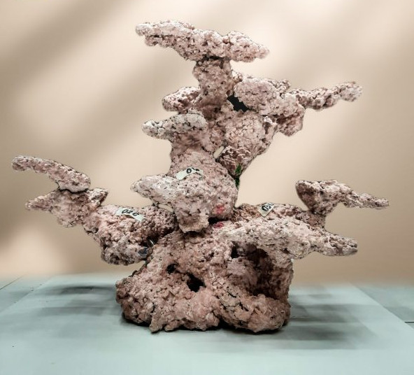 CREATOR: gd-jpeg v1.0 (using IJG JPEG v62), quality = 82