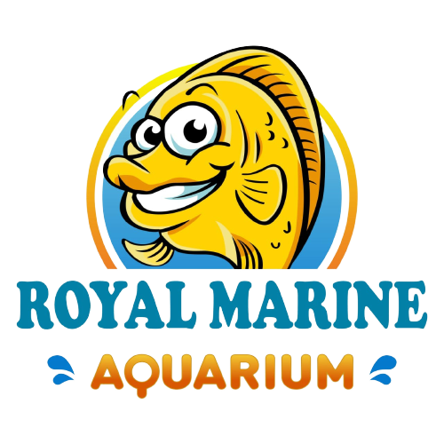 About Us Royal Marine Aquarium About Us Royal Marine Aquarium